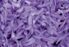 изтривалки изкуствена трева с надпис изтривалки с лого artificial grass color artificielle couleur de l'herbe umělá tráva barva вештачка трава боја suni çim rengi umetna barva trave Kunstrasen Farbe sztuczna trawa kolor Culoare gazon artificial искусственная трава цвет umelá tráva farba вештачка трева цветна color de césped artificial artificiale colore erba τεχνητό χόρτο χρώμα με logo 