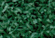 изтривалки изкуствена трева с надпис изтривалки с лого artificial grass color artificielle couleur de l'herbe umělá tráva barva вештачка трава боја suni çim rengi umetna barva trave Kunstrasen Farbe sztuczna trawa kolor Culoare gazon artificial искусственная трава цвет umelá tráva farba вештачка трева цветна color de césped artificial artificiale colore erba τεχνητό χόρτο χρώμα με logo 