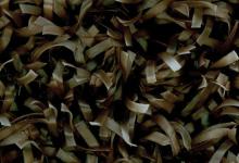 изтривалки изкуствена трева с надпис изтривалки с лого artificial grass color artificielle couleur de l'herbe umělá tráva barva вештачка трава боја suni çim rengi umetna barva trave Kunstrasen Farbe sztuczna trawa kolor Culoare gazon artificial искусственная трава цвет umelá tráva farba вештачка трева цветна color de césped artificial artificiale colore erba τεχνητό χόρτο χρώμα με logo 