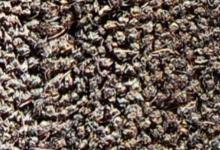 coir mat кафяв кокос ествествени кокосови изтривалки coir mats rubber