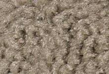 Taupe 959 професионални перящи се изтривалки професионални перящи се входни килими полиамид 6.6