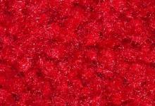 червен килим под наем червена изтривалка червена пътека под наем red carpet